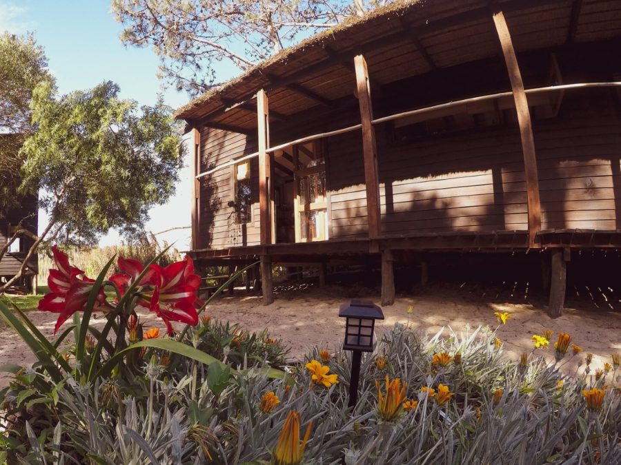 La Semilla Eco Cabaña INDI para 2 huéspedes